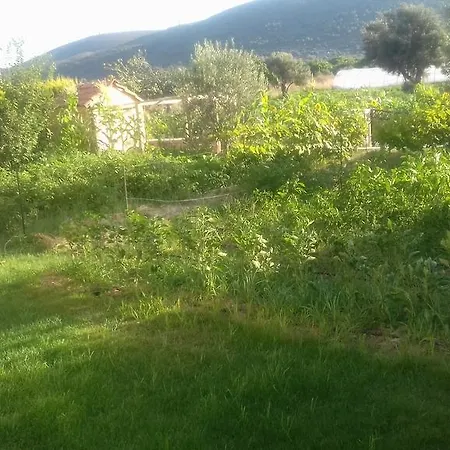 לינה וארוחת בוקר Birsen Hanim Konagi אלאקאטי